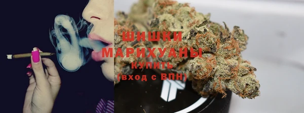ПСИЛОЦИБИНОВЫЕ ГРИБЫ Аркадак