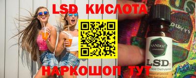 шишки Донской